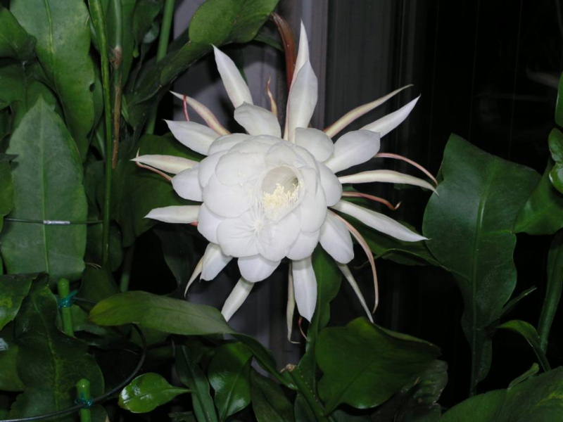 dc062302